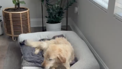 Nervousness to Unstoppable