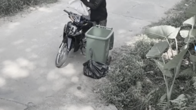 Rescued from Cruelty