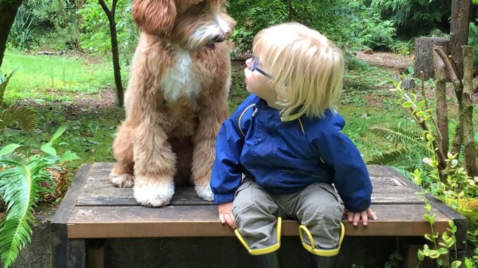 1631607502_3ad150c200000578-3977766-gazing_buddy_and_reagan_go_on_walks_together_and_take_breaks_whe-a-5_1480362235262