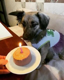 1686536338_804_its-my-birthday-today-but-i-havent-received-any-wishes