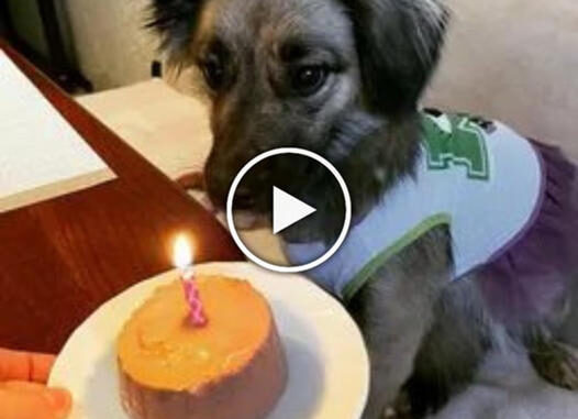 358163477_23855114905450043_1677471089940876723_n