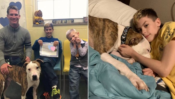 Family Adopts Both Their Son And A New Dog On Double Adoption Day