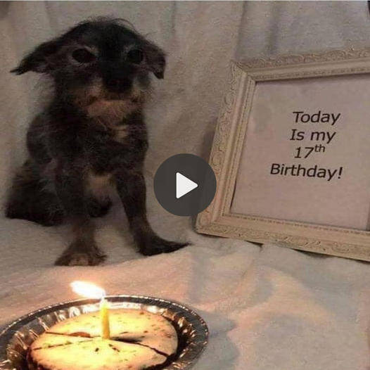 its-my-birthday-today-but-i-havent-received-any-wishes