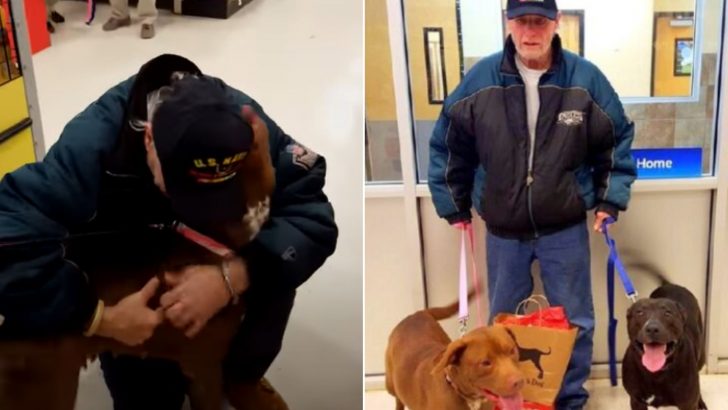 Vietnam Veteran Gets To See His Dogs After 3 Long Months