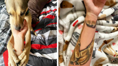 Woman commemorates her dog