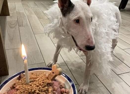 370458433_204542329276198_7856223288234347247_n