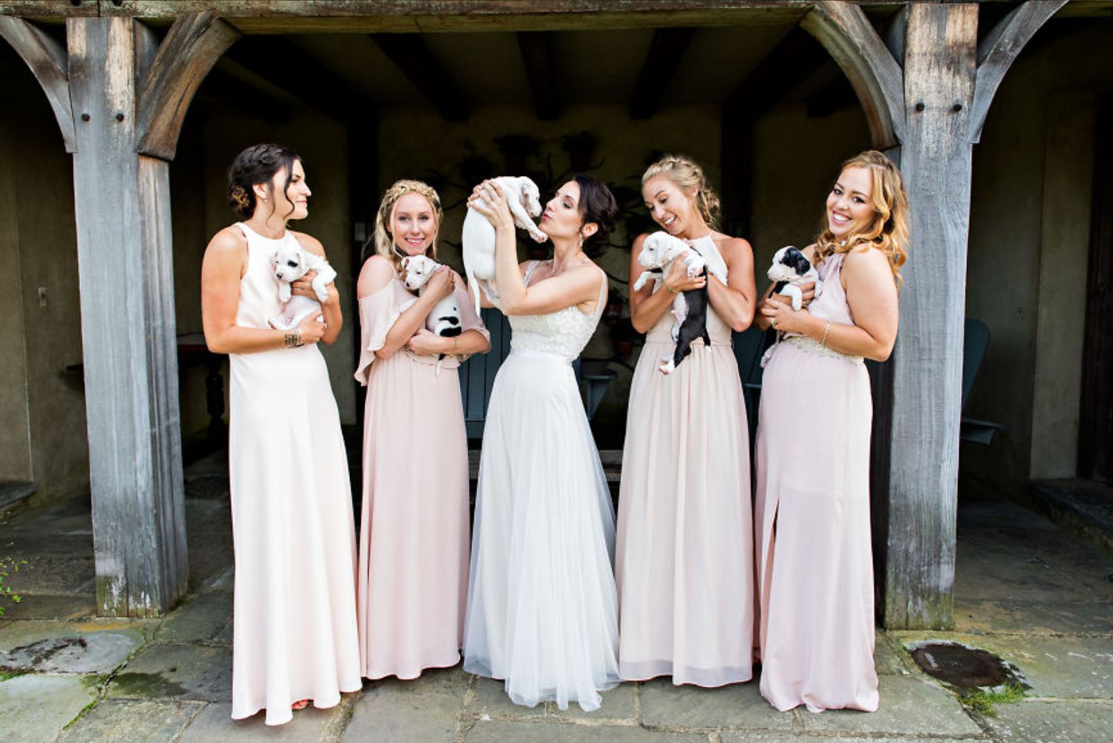 bride-and-bridesmaids-holding-puppies bride and bridesmaids holding puppies