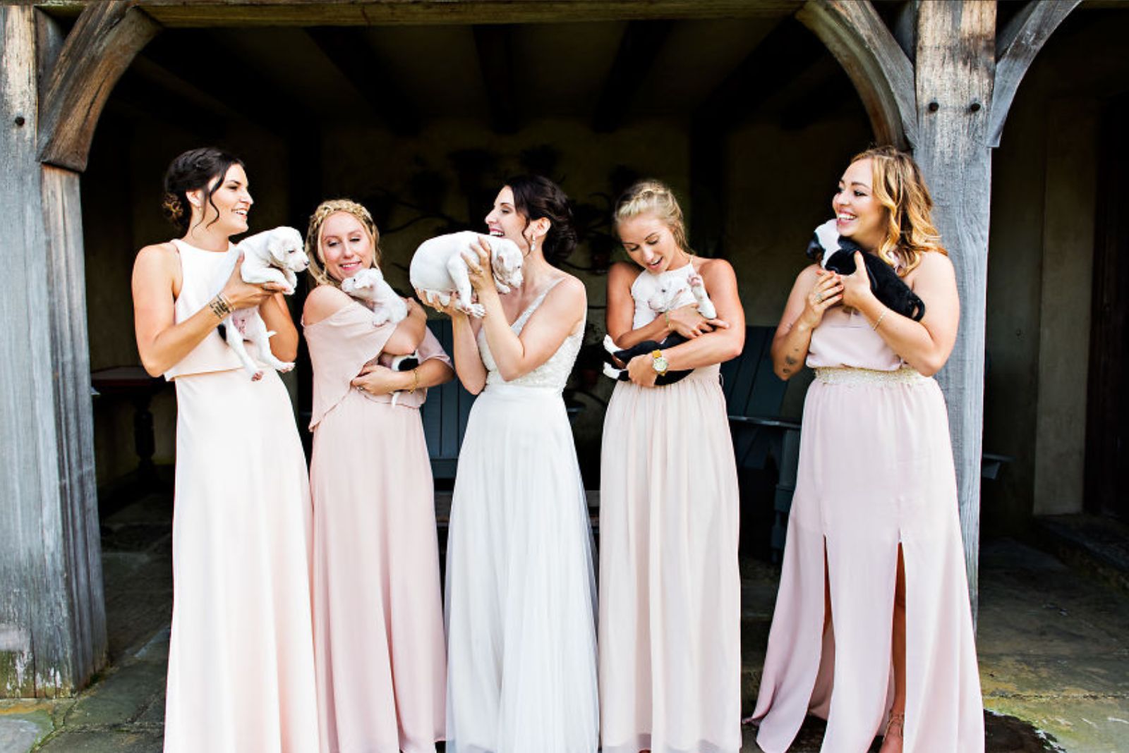bridesmaids-and-bride-smiling-and-holding-puppies bridesmaids and bride smiling and holding puppies
