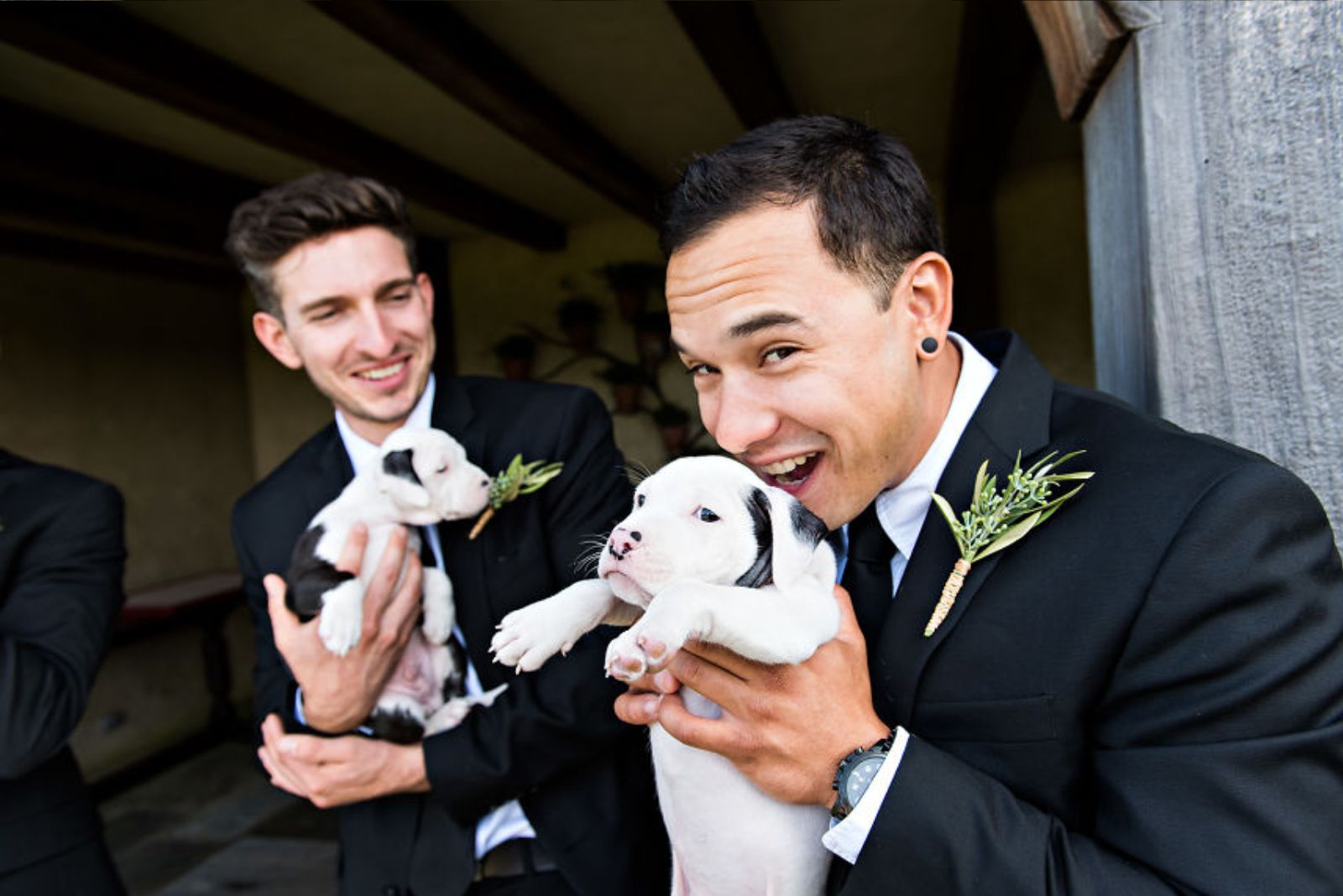close-up-photo-of-two-men-holding-puppies close-up photo of two men holding puppies