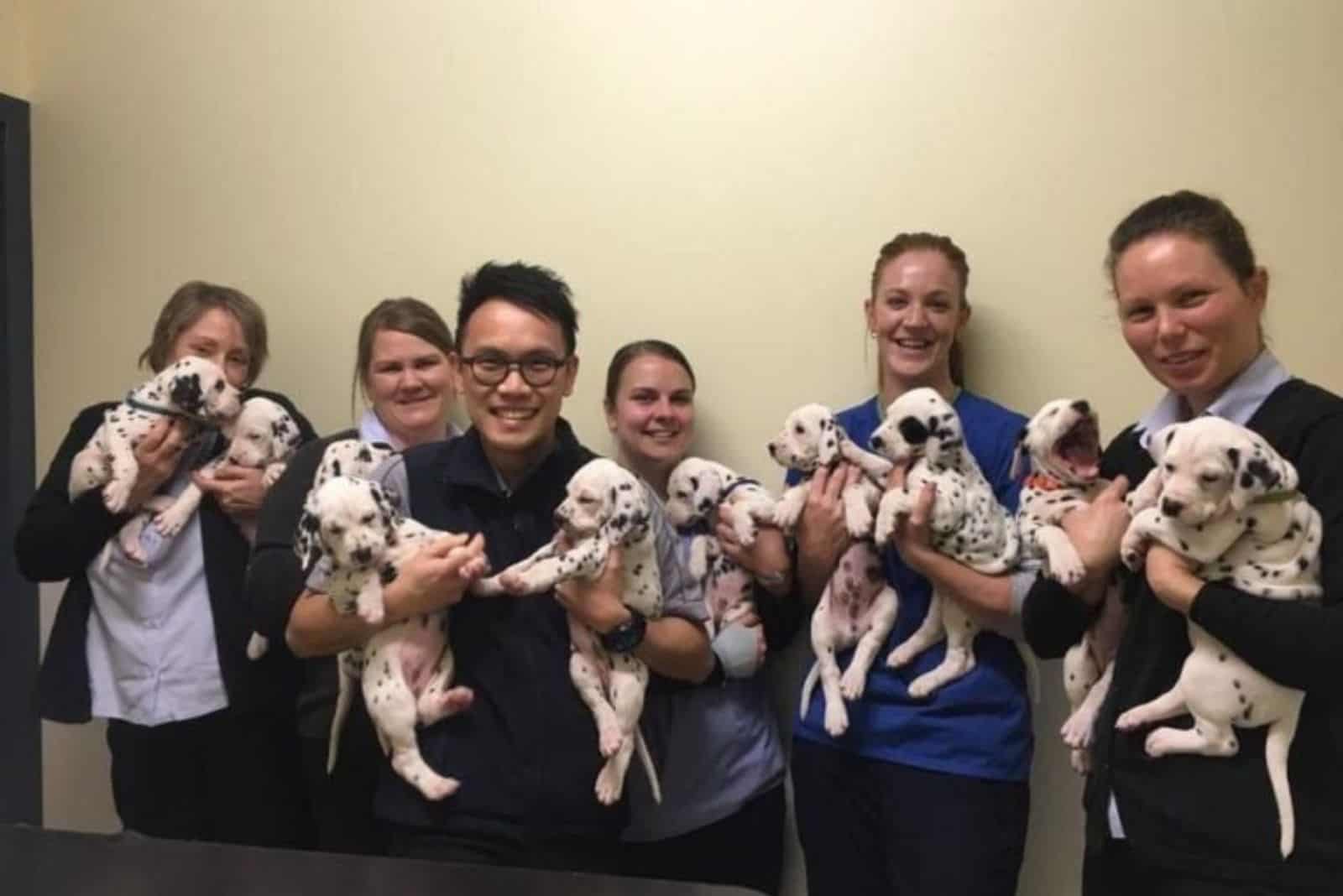 group-of-people-holding-dalmatian-puppies group of people holding dalmatian puppies in their arms