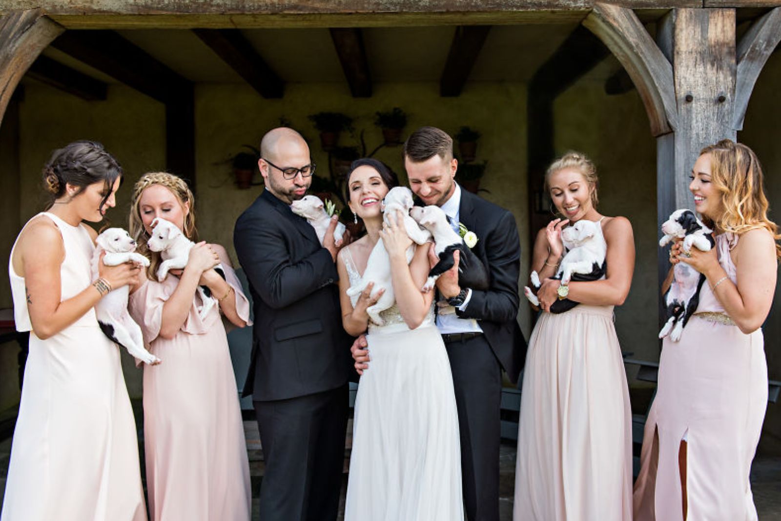 group-photo-of-men-and-woman-holding-puppies group photo of men and woman holding puppies