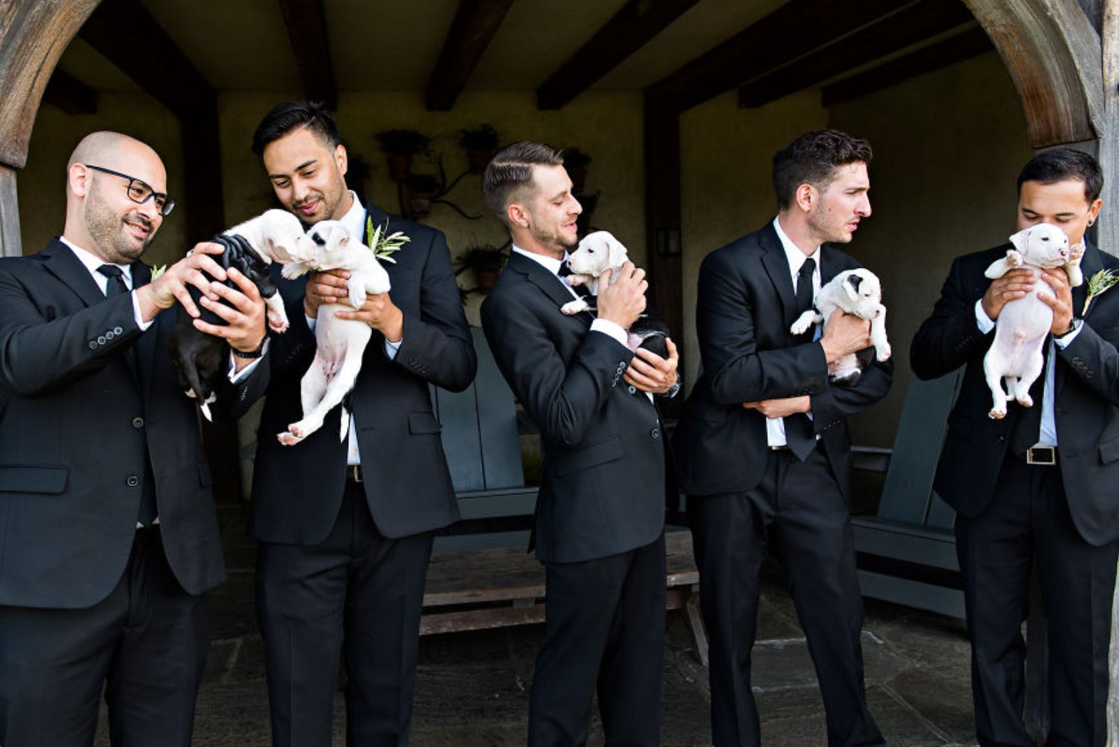 men-wearing-tuxedo-and-holding-puppies men wearing tuxedo and holding puppies