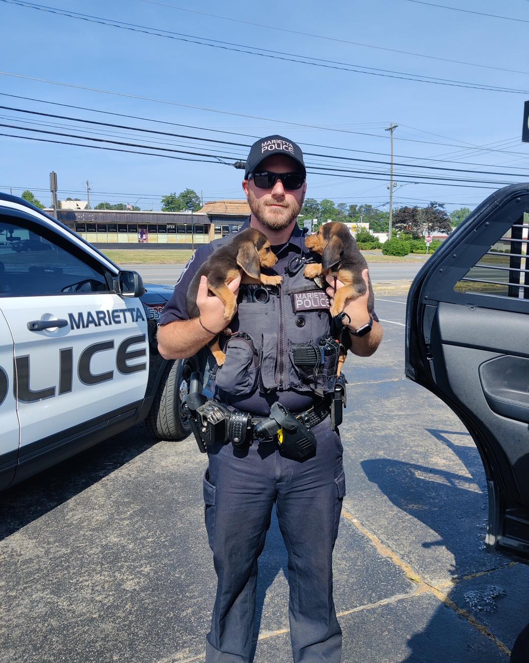 officer-holding-two-puppies officer holding two puppies
