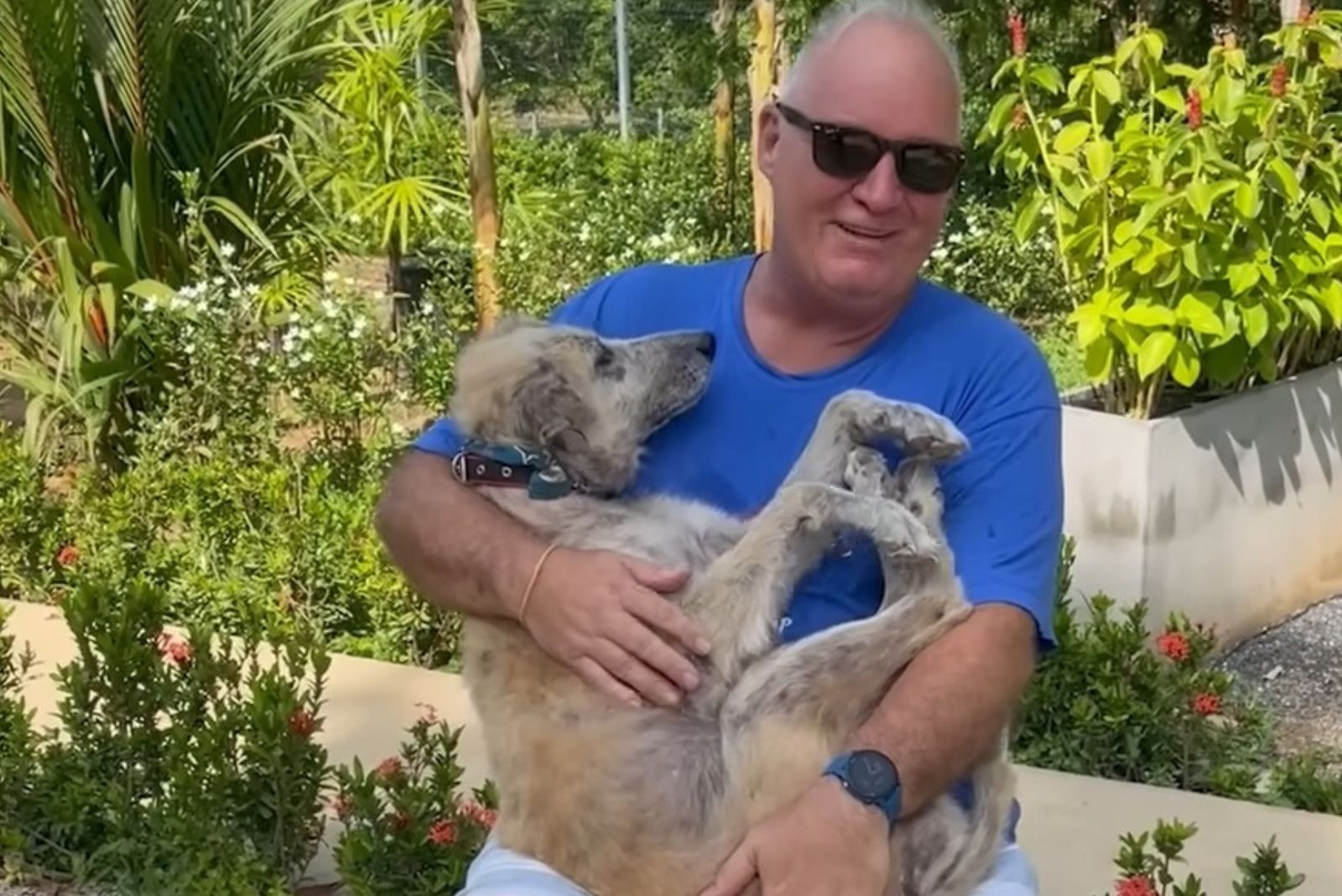 owner-holding-his-dog owner holding his dog