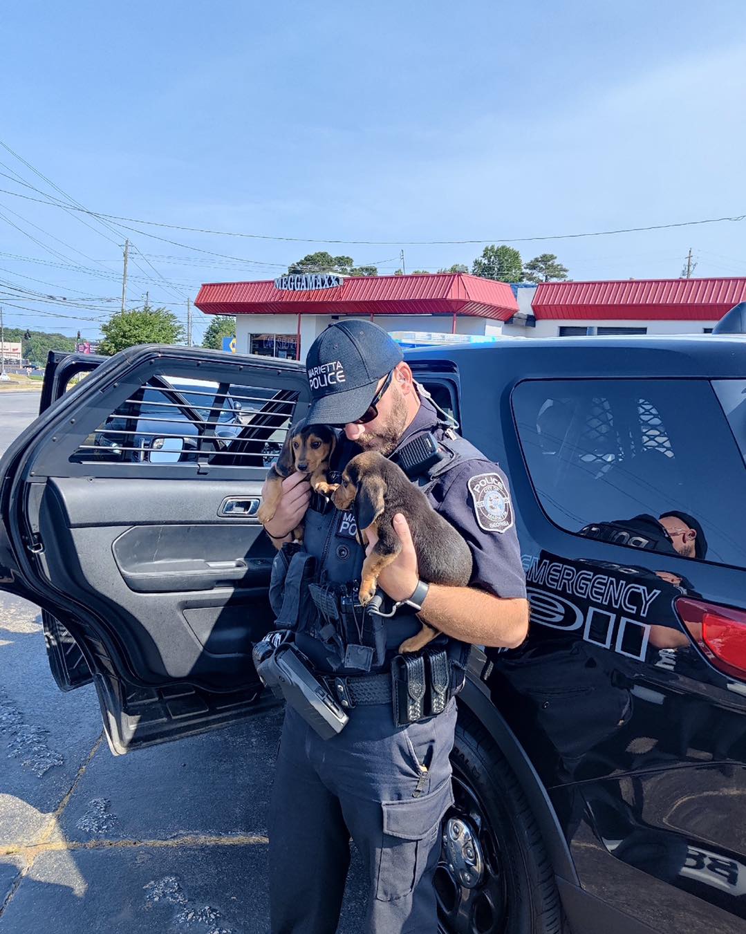 photo-of-an-officer-holding-two-runaway-puppies photo of an officer holding two runaway puppies