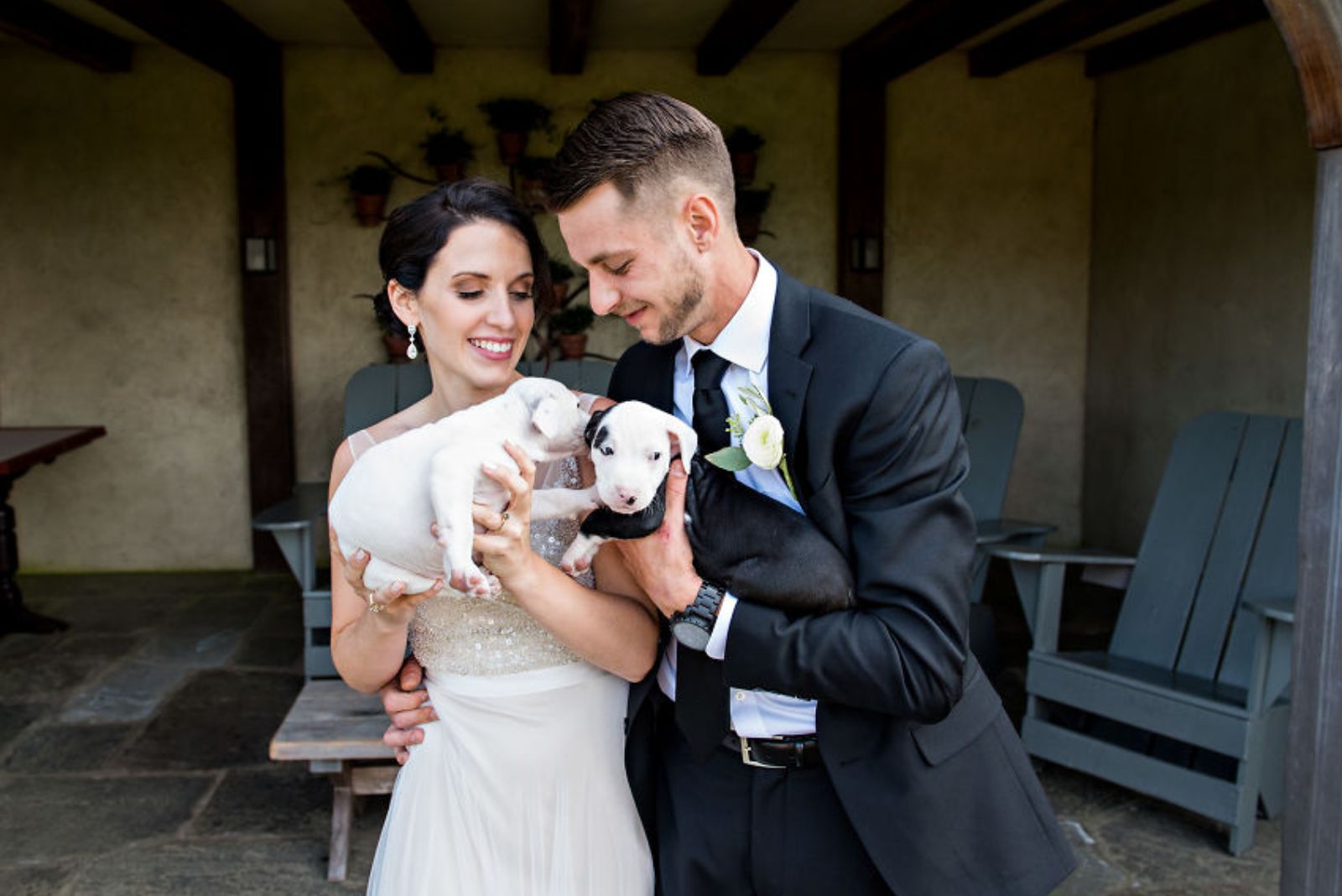 photo-of-bride-and-groom-holding-the-puppies photo of bride and groom holding the puppies