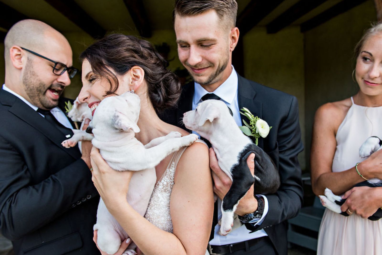 wedding-guests-holding-puppies wedding guests holding puppies