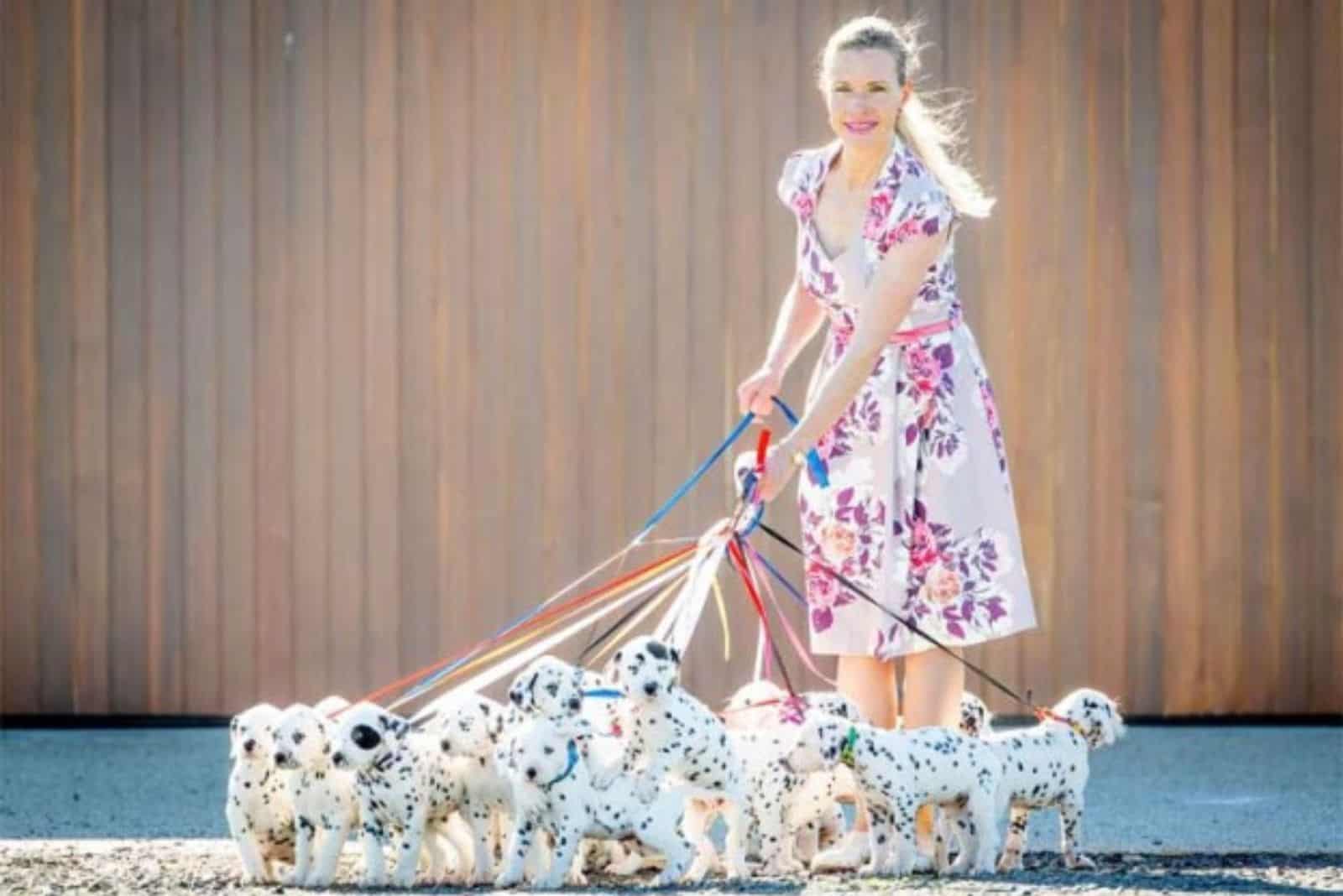 woman-with-dalmatian-puppies woman with dalmatian puppies on a leash
