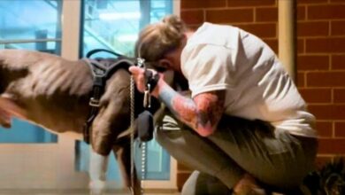 A Dog Saved From Euthanasia Can’t Stop Hugging His Rescuer