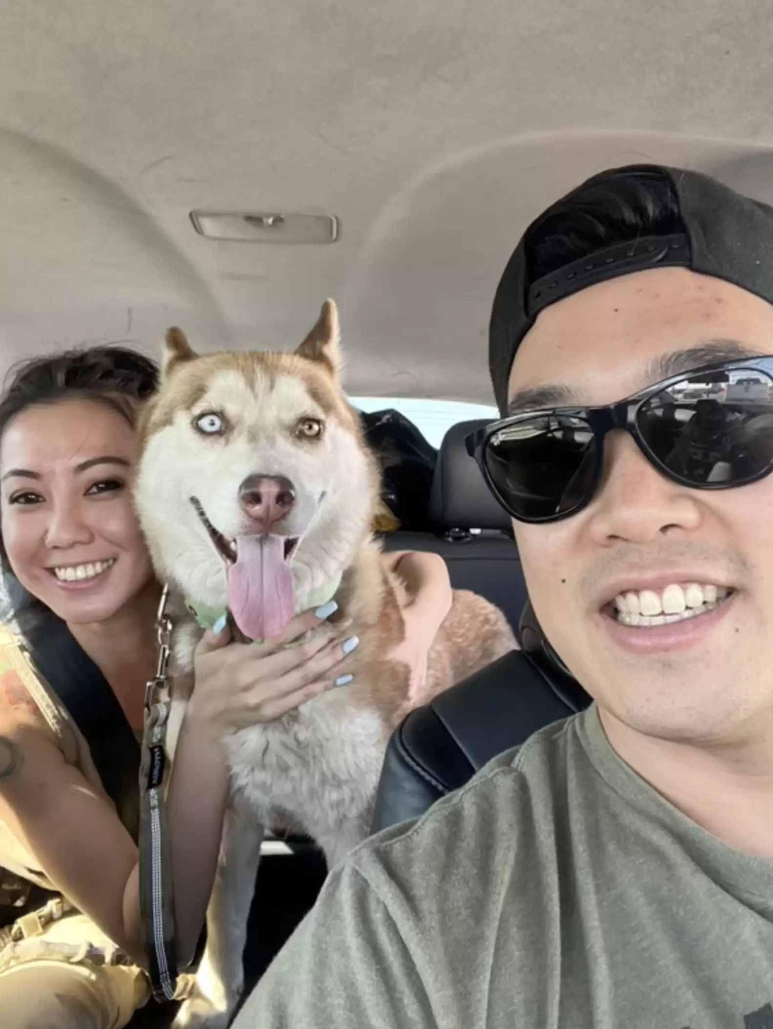 a-man-and-a-woman-take-a-picture-with-a-dog-in-a-car a man and a woman take a picture with a dog in a car