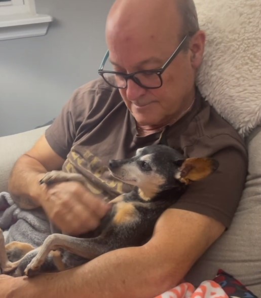 an-elderly-man-with-glasses-is-holding-a-dog-in-his-arms-and-petting-it an elderly man with glasses is holding a dog in his arms and petting it