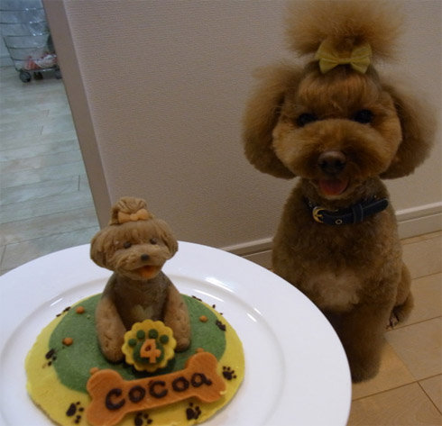 birthday_animals_11
