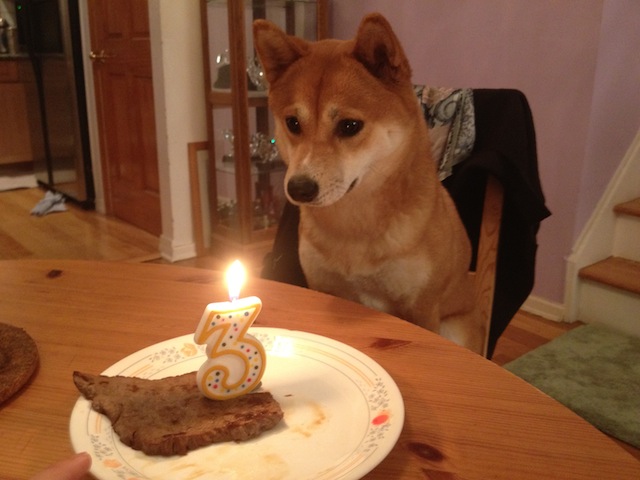 birthday_animals_29