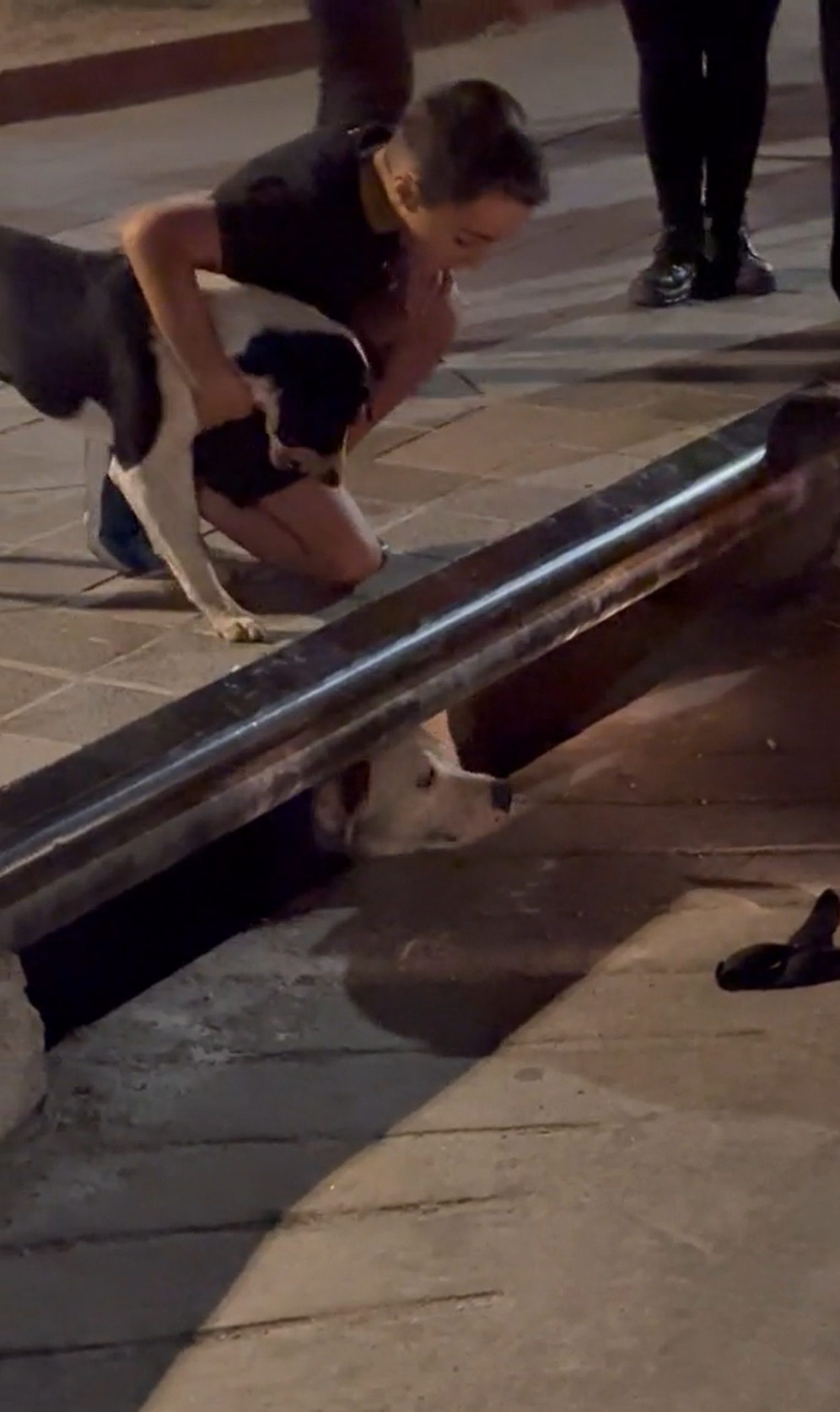 dog-in-sewer-scaled-1 dog in sewer