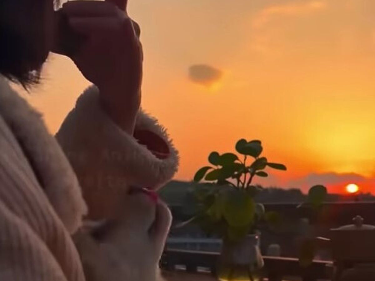 dog-owner-and-sunset dog owner and sunset