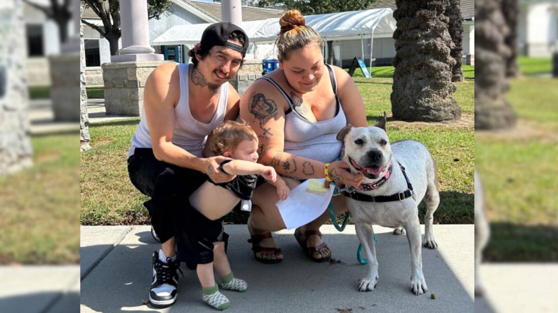 dog-who-spent-three-years-in-a-shelter-finally-finds-her-forever-home Dog Who Spent Three Years In A Shelter Finally Finds Her Forever Home