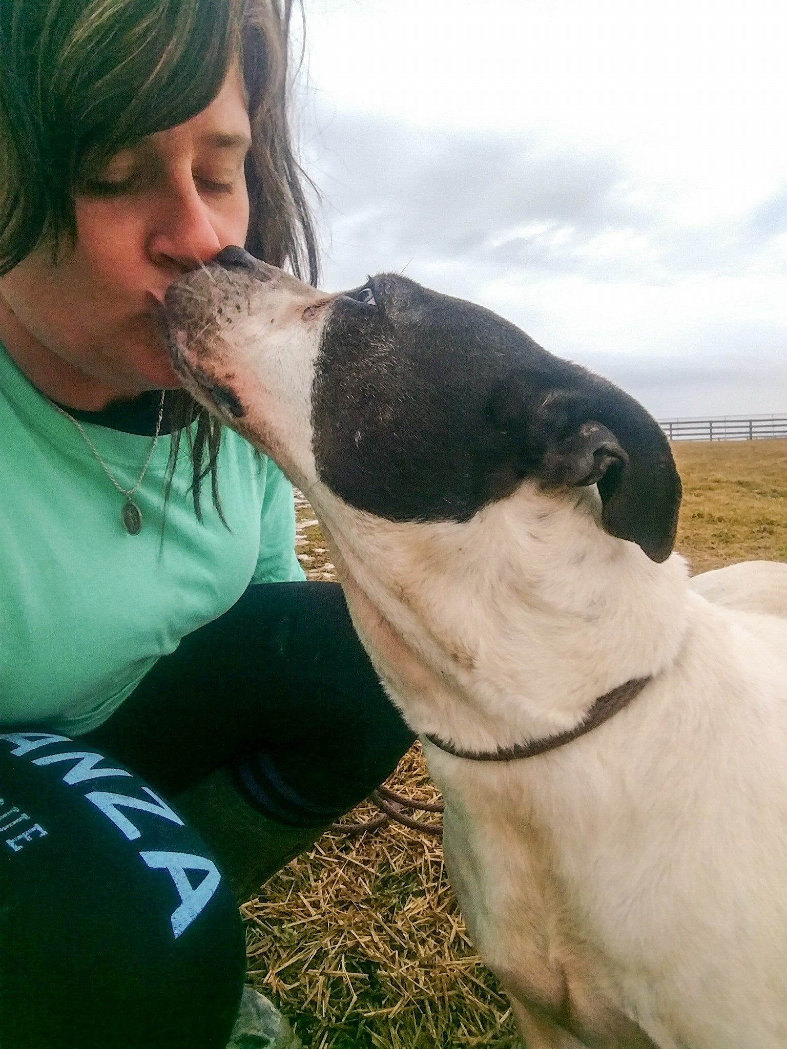 girl-kissing-the-dog girl kissing the dog
