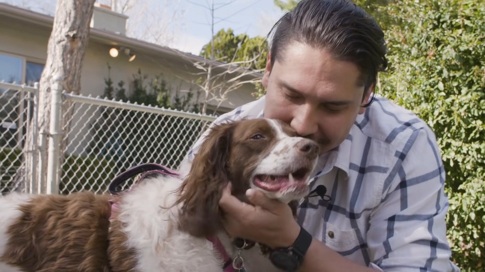 guy-kissing-the-dog guy kissing the dog