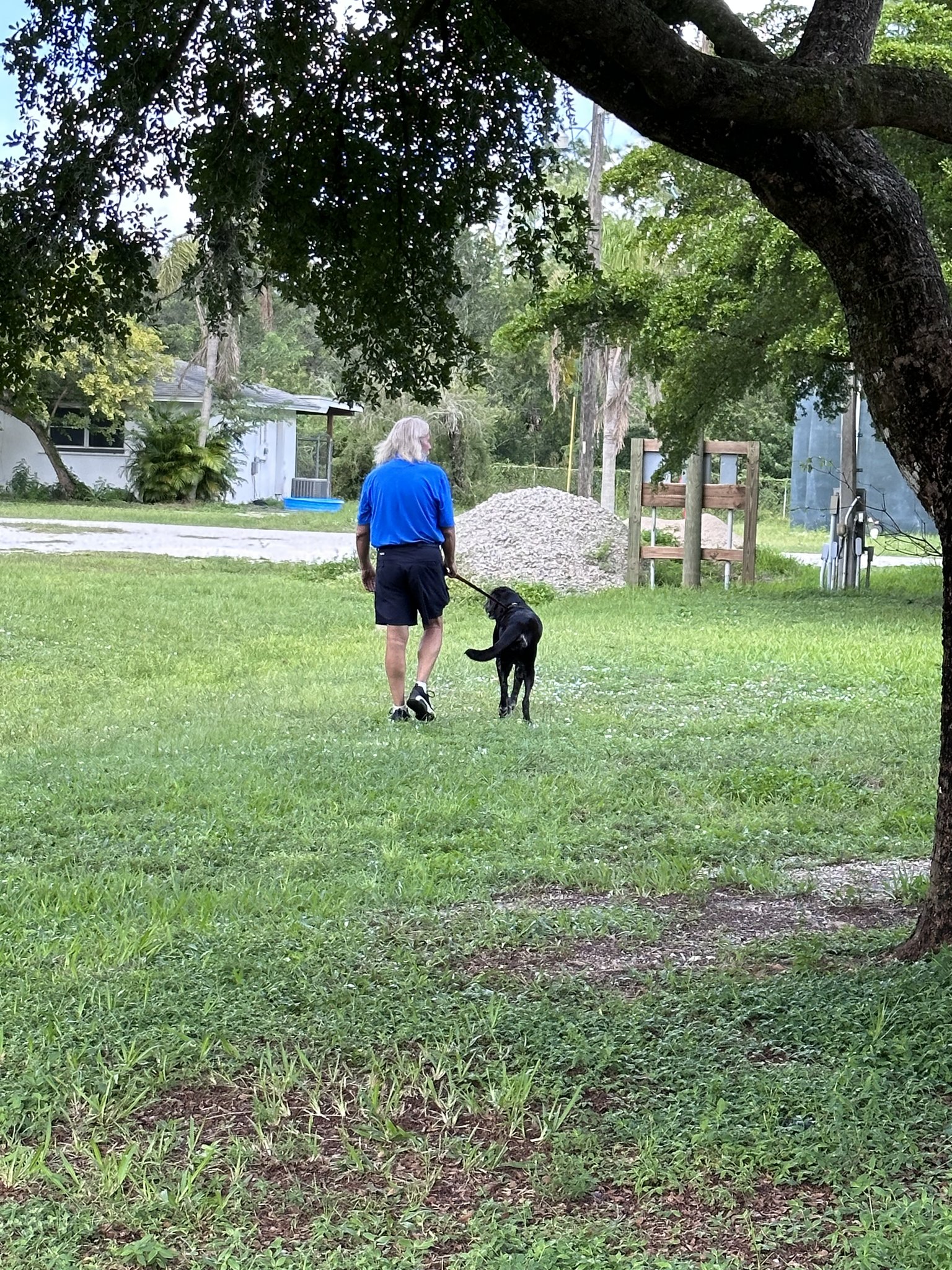 guy-walking-his-dog-on-a-leash guy walking his dog on a leash