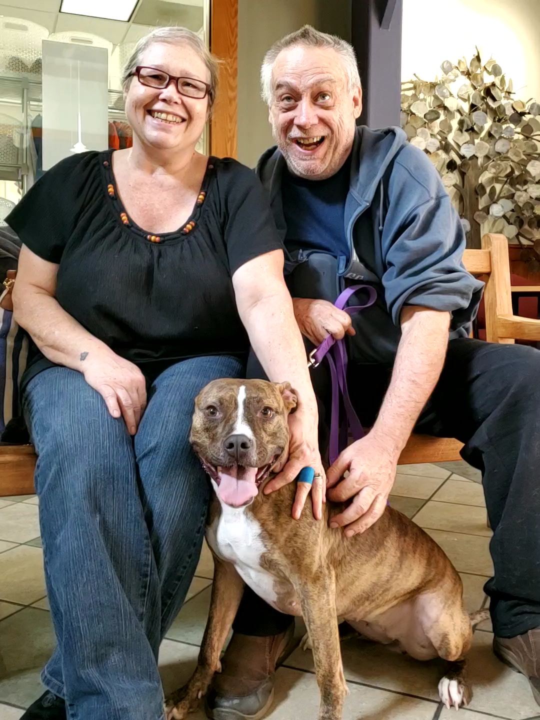 happy-couple-with-their-new-dog happy couple with their new dog