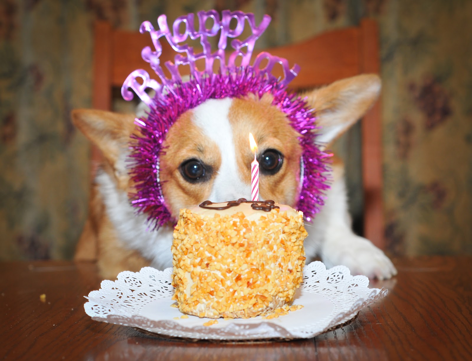 jozi-first-bday-24-of-48