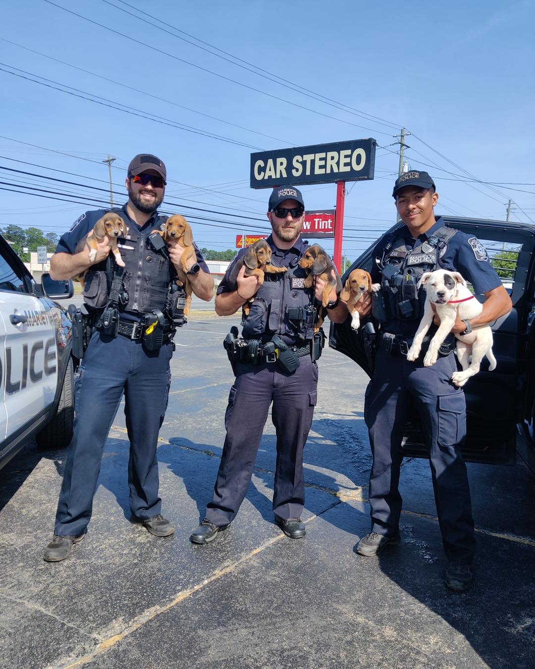 police-officers-holding-the-puppies police officers holding the puppies