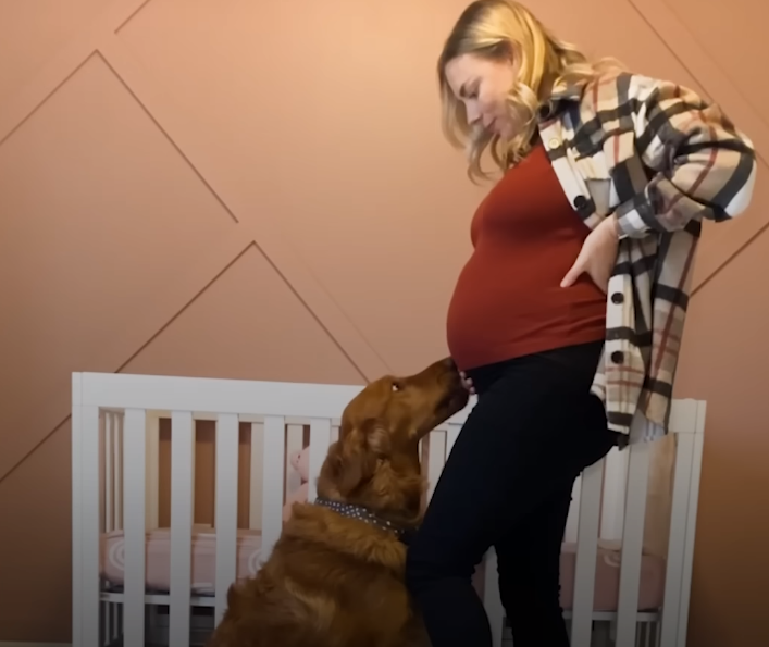 pregnant-woman-and-her-dog pregnant woman and her dog