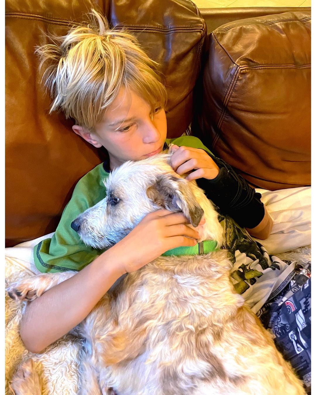 rescue-dog-lying-on-little-boy rescue dog lying on little boy