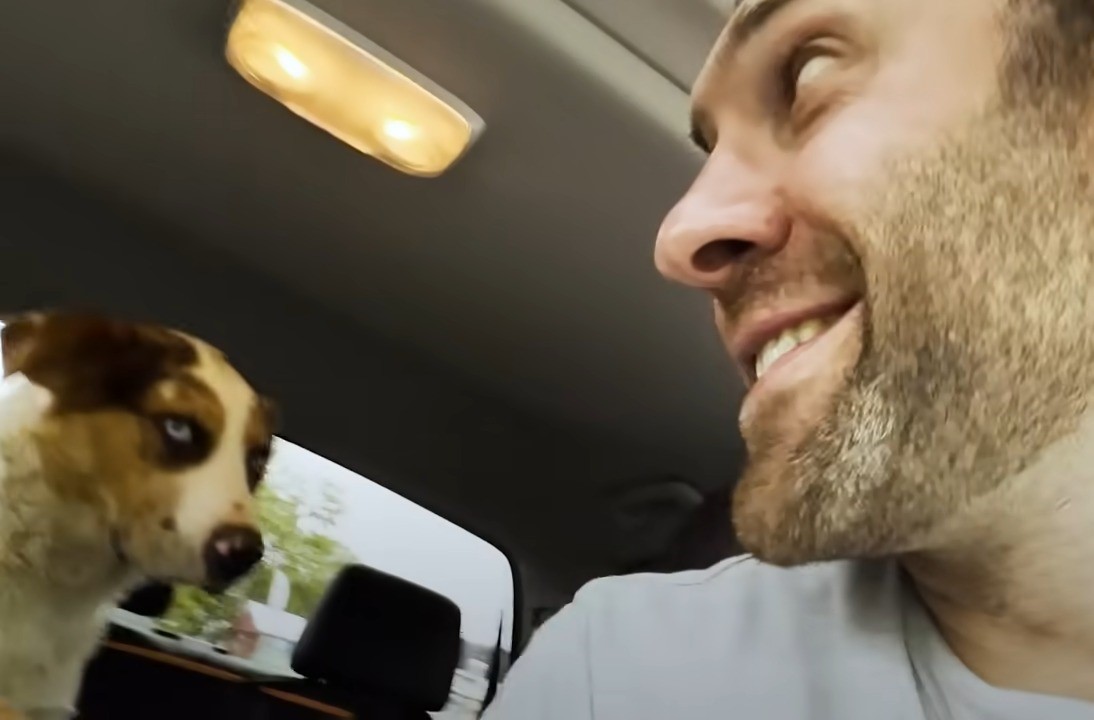 the-dog-looks-at-the-smiling-man the dog looks at the smiling man