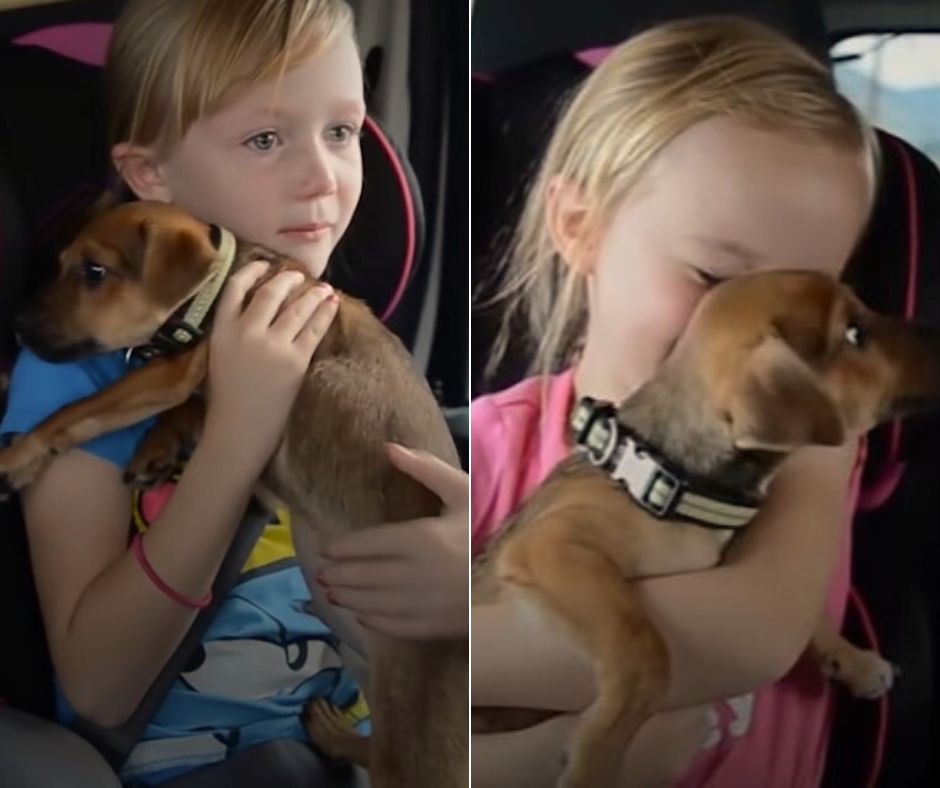 two-little-girls-holding-a-dog two little girls holding a dog