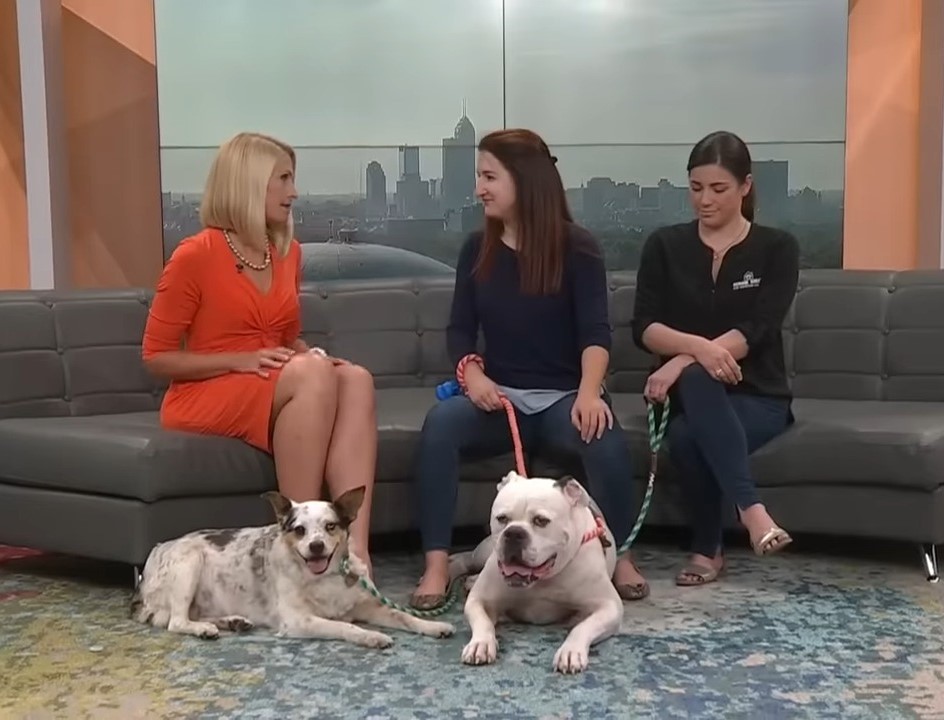 two-women-with-two-dogs-are-guests-in-the-show two women with two dogs are guests in the show