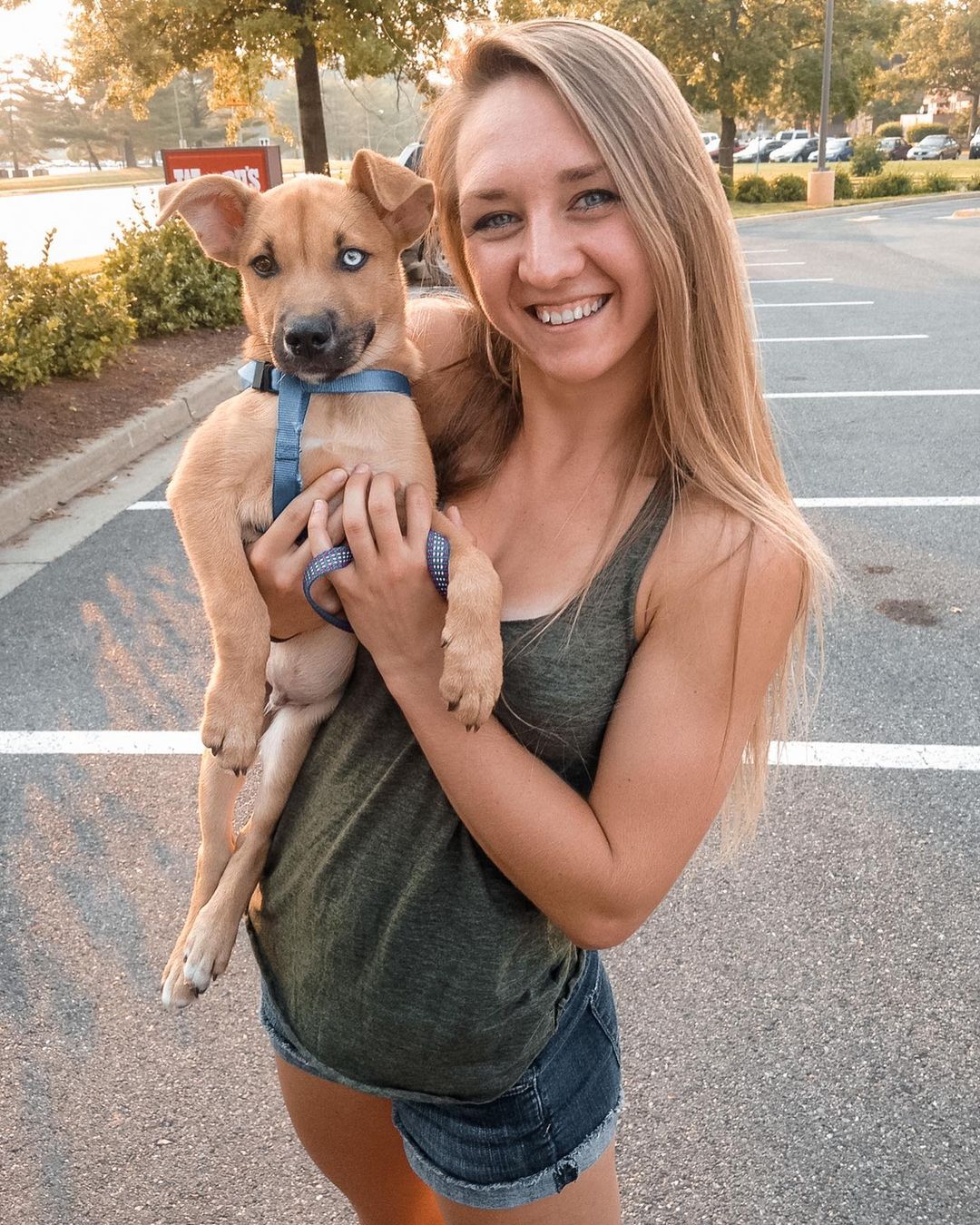 woman-holding-puppy woman holding puppy