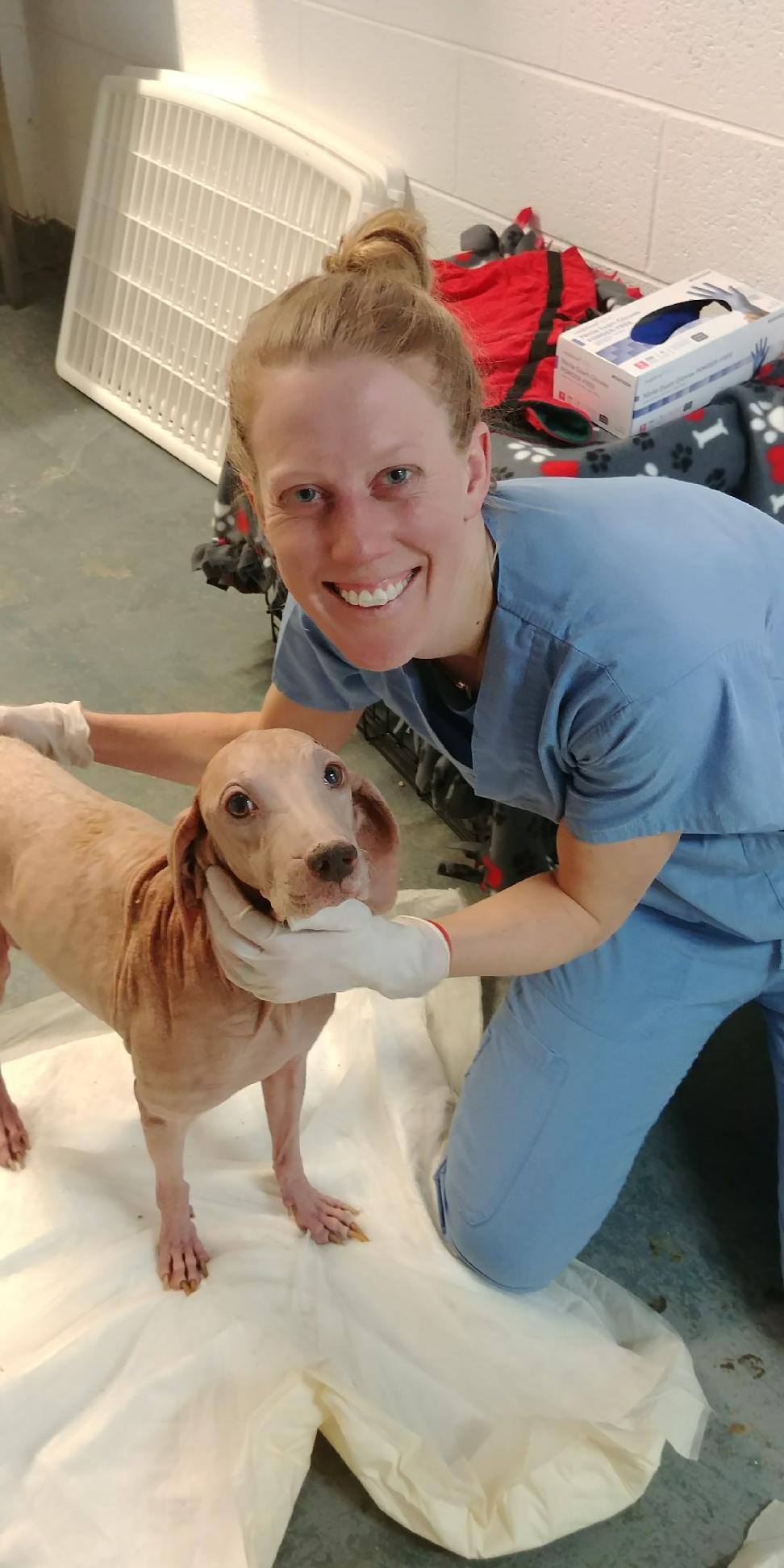 woman-with-hairless-dog woman with hairless dog