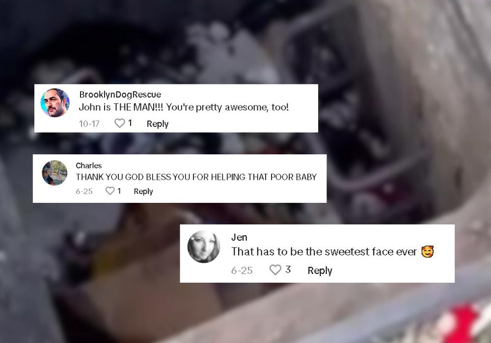 comments-on-social-media comments on social media