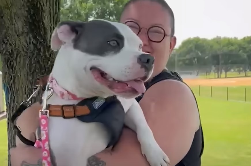 woman-holding-pitbull woman holding pitbull