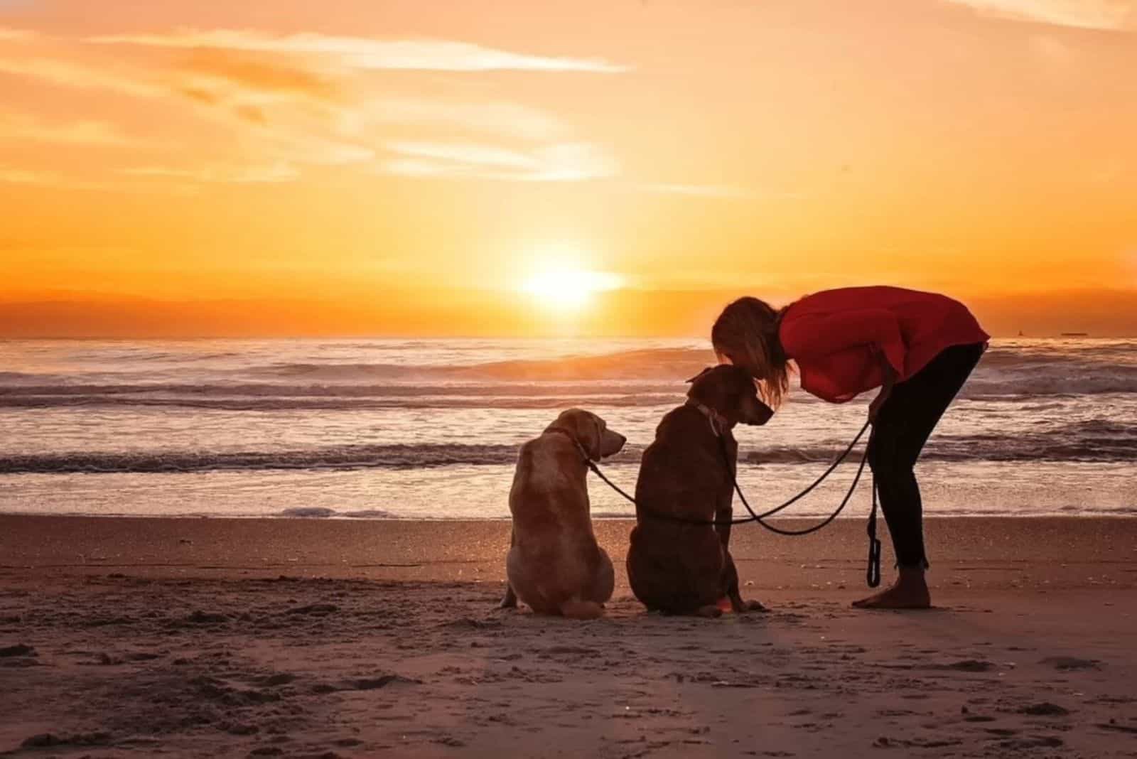 woman-with-two-dogs-on-the-beach woman with two dogs on the beach at sunset