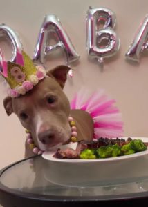 z5019330648507_665189a4de3723246666b6a77db974cf-214x300-1