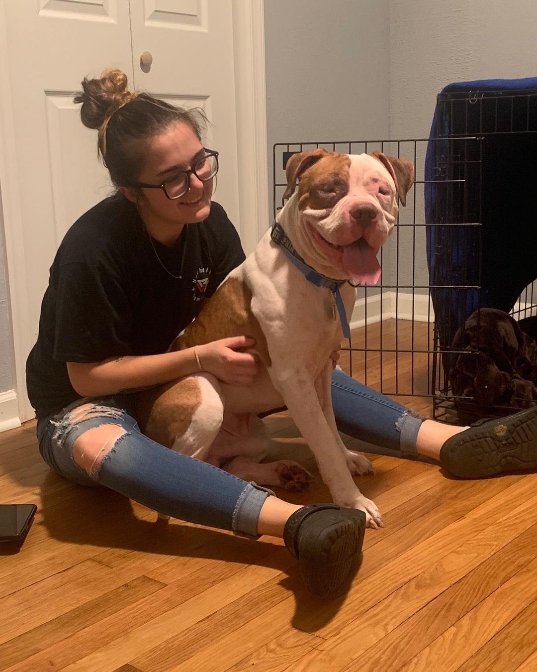 woman-sitting-with-the-pitbull woman sitting with the pitbull